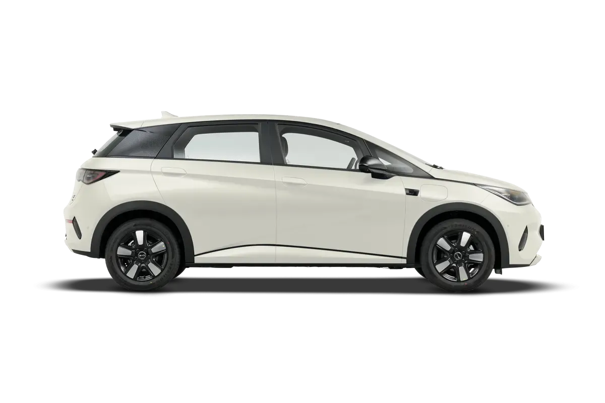 Электромобиль BYD Dolphin 2025 Smart Driving Edition 420KM Freedom Edition (бежевый)_360