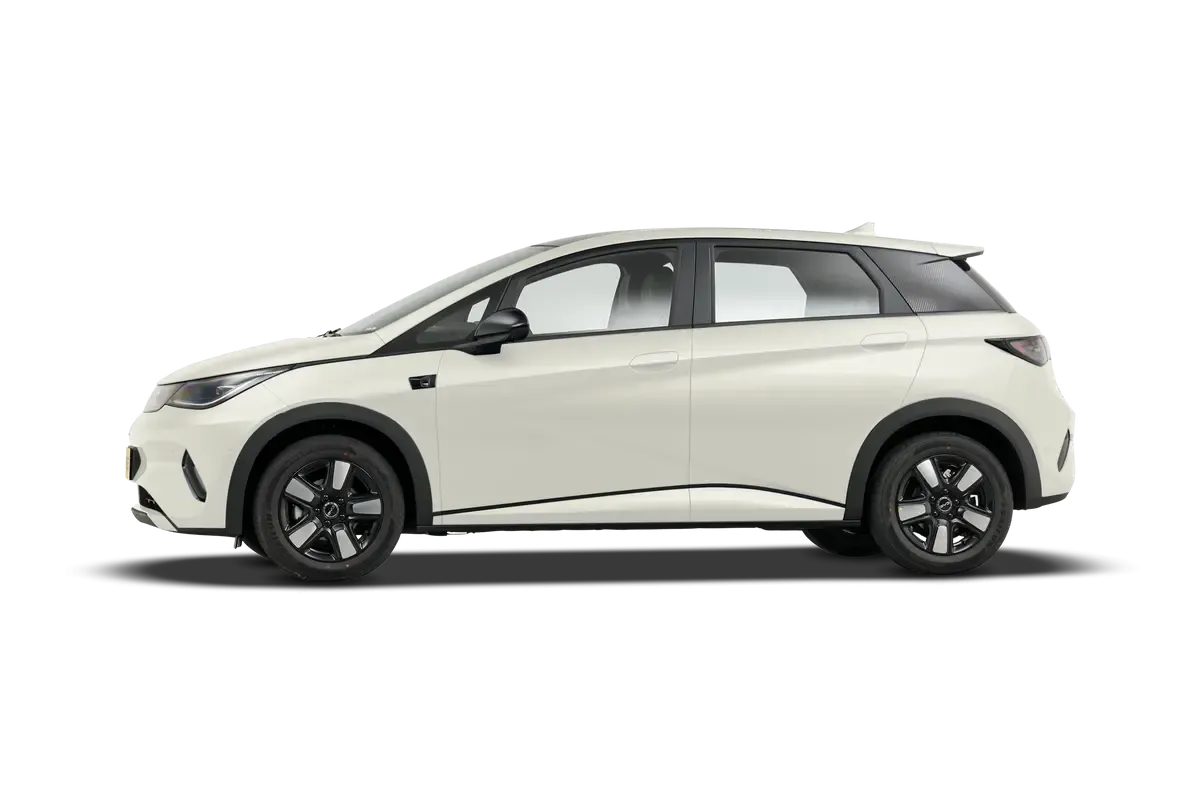 Электромобиль BYD Dolphin 2025 Smart Driving Edition 420KM Freedom Edition (бежевый)_360