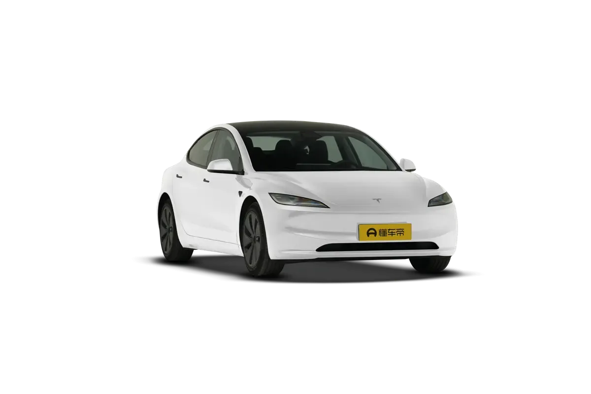 TESLA MODEL 3 4WD Long Range (белый)_360