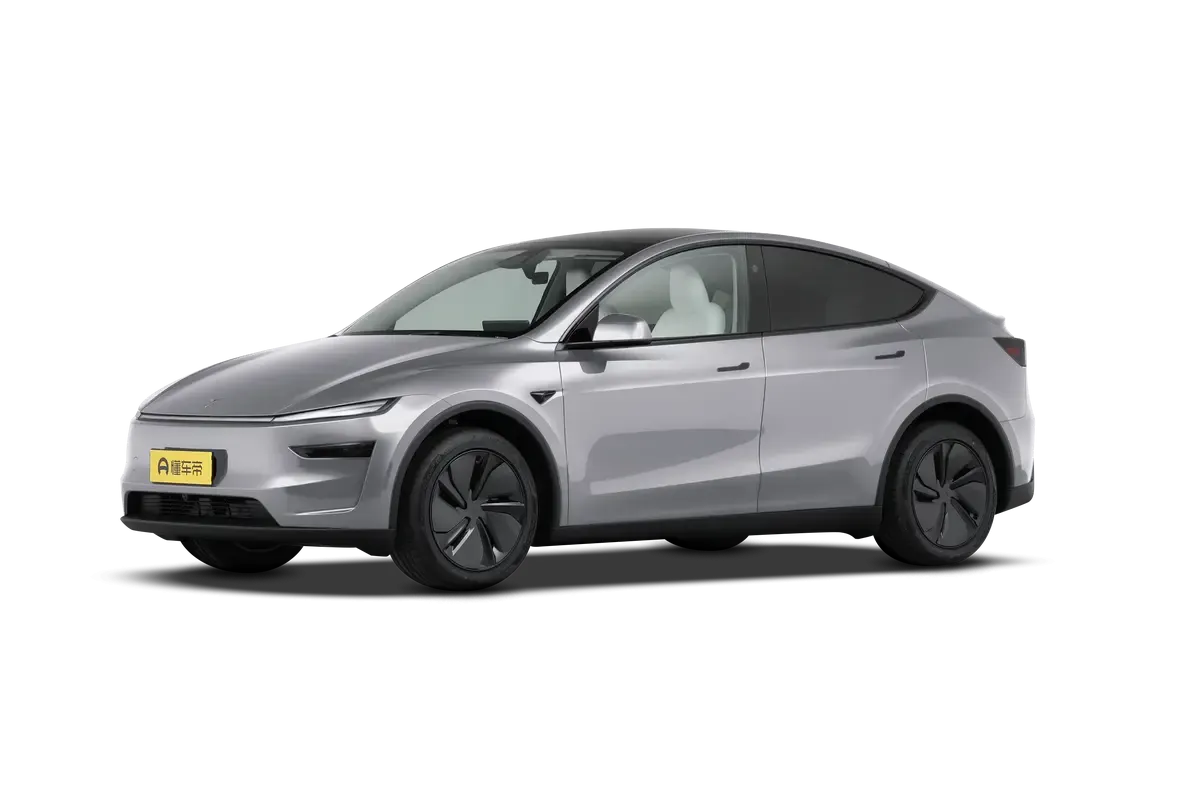 TESLA MODEL Y 2025 4WD Long Range (серебристый)_360
