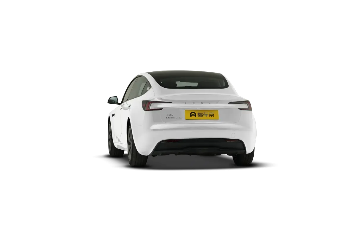 TESLA MODEL 3 4WD Long Range (белый)_360