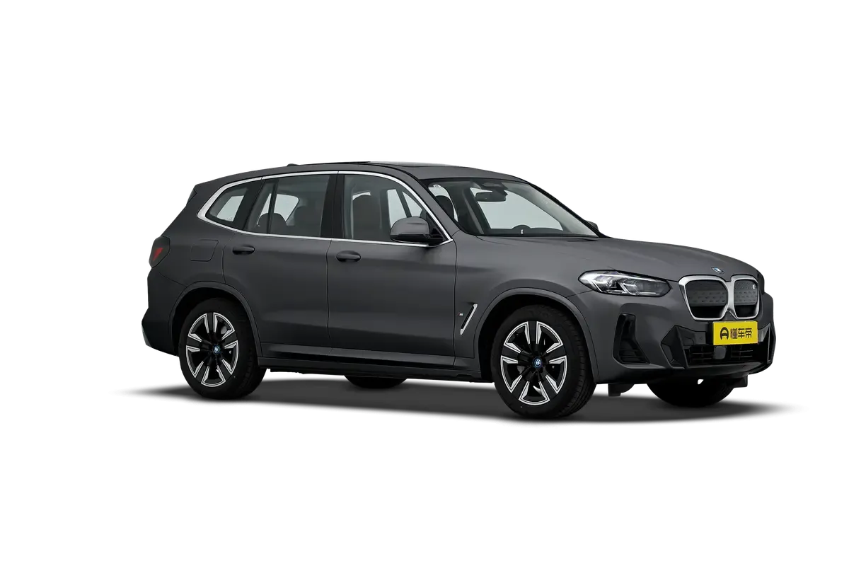 Электромобиль BMW IX3 2024 Pioneer (серый)_360