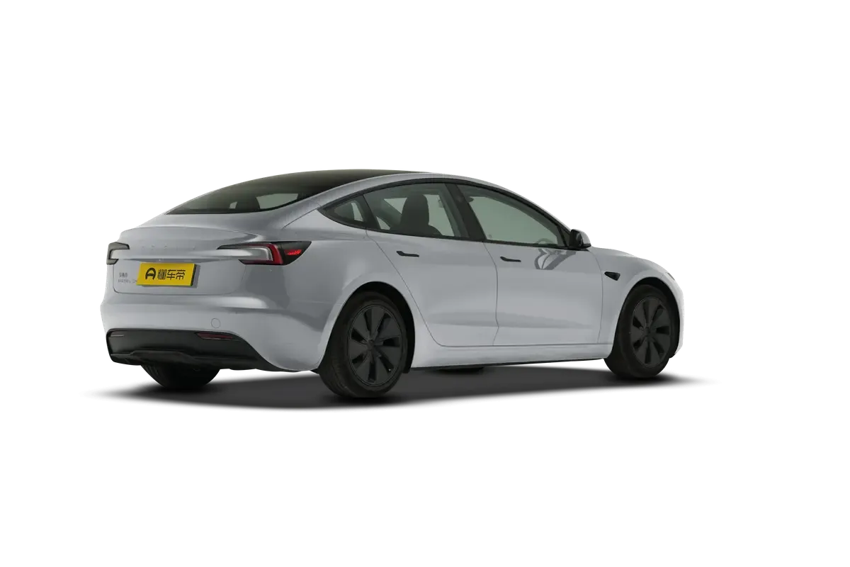 TESLA MODEL 3 4WD Performance (серебристый)_360