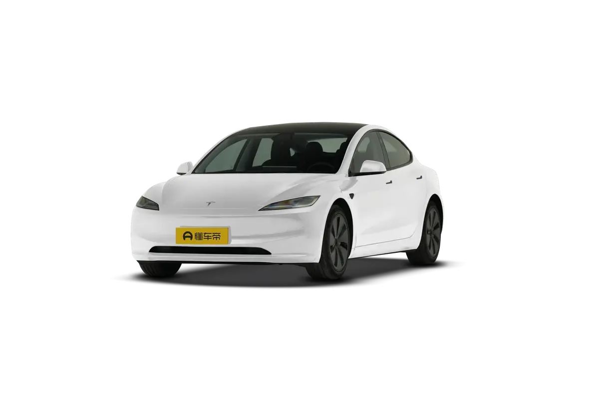 TESLA MODEL 3 4WD Long Range (белый)_360
