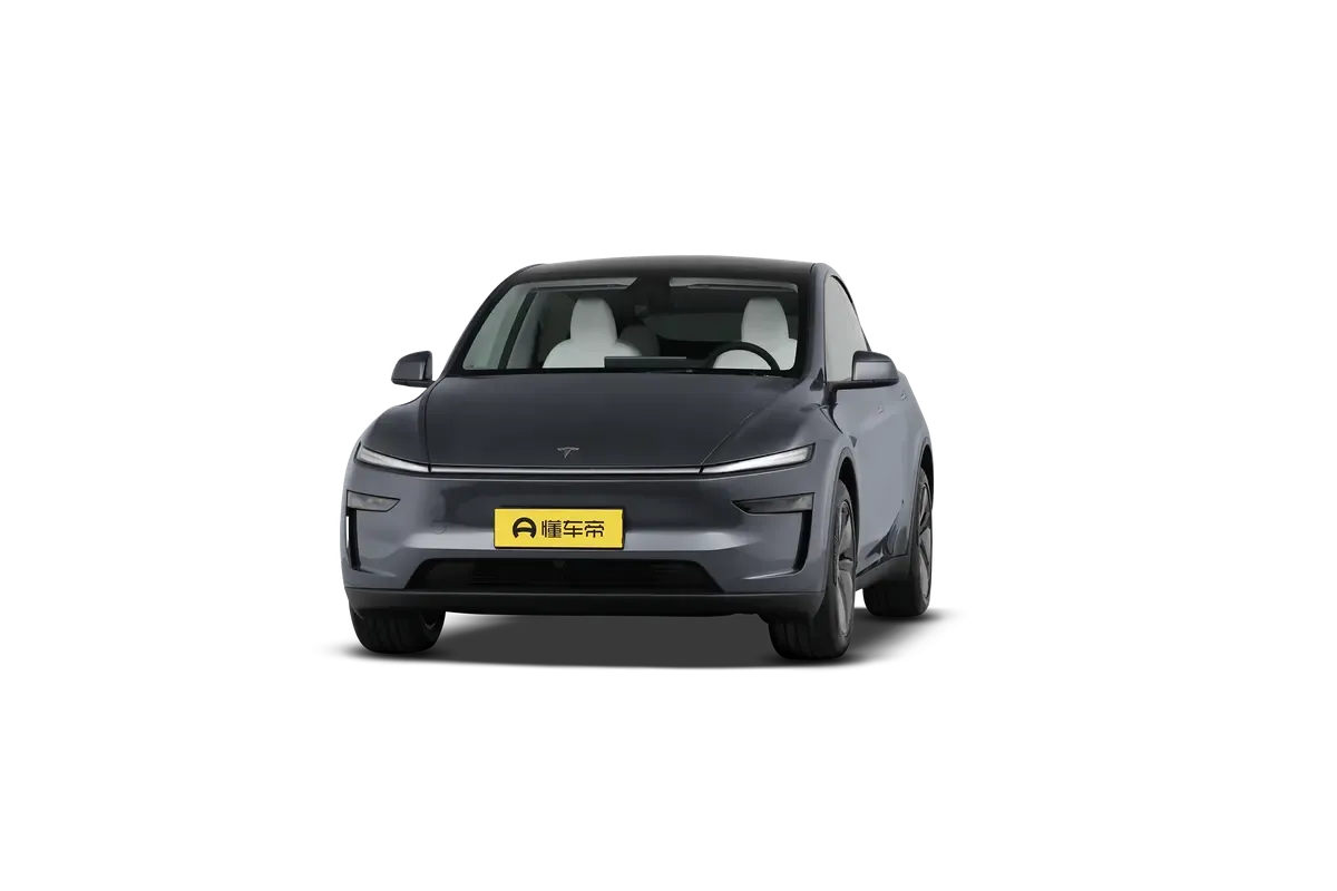 TESLA MODEL Y 2025 2WD (серый)_360