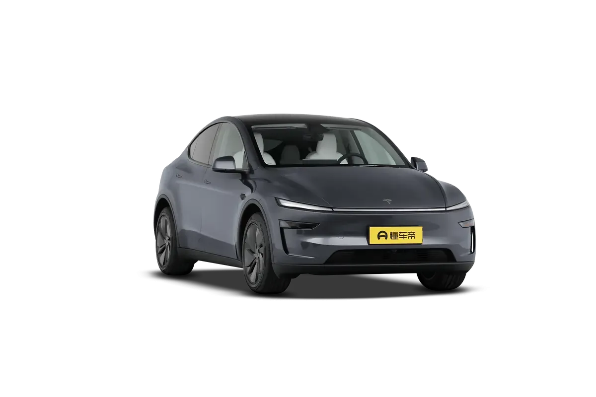 TESLA MODEL Y 2025 2WD (серый)_360