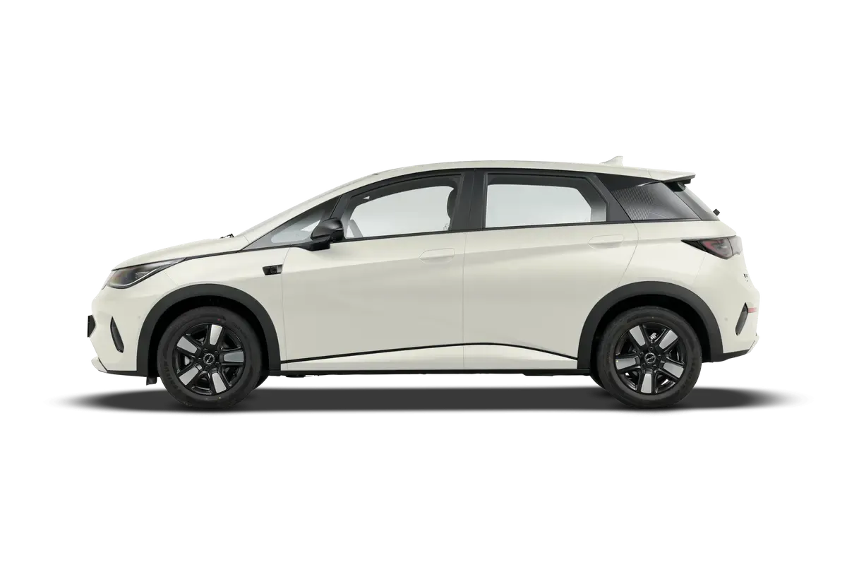 Электромобиль BYD Dolphin 2025 Smart Driving Edition 420KM Freedom Edition (бежевый)_360