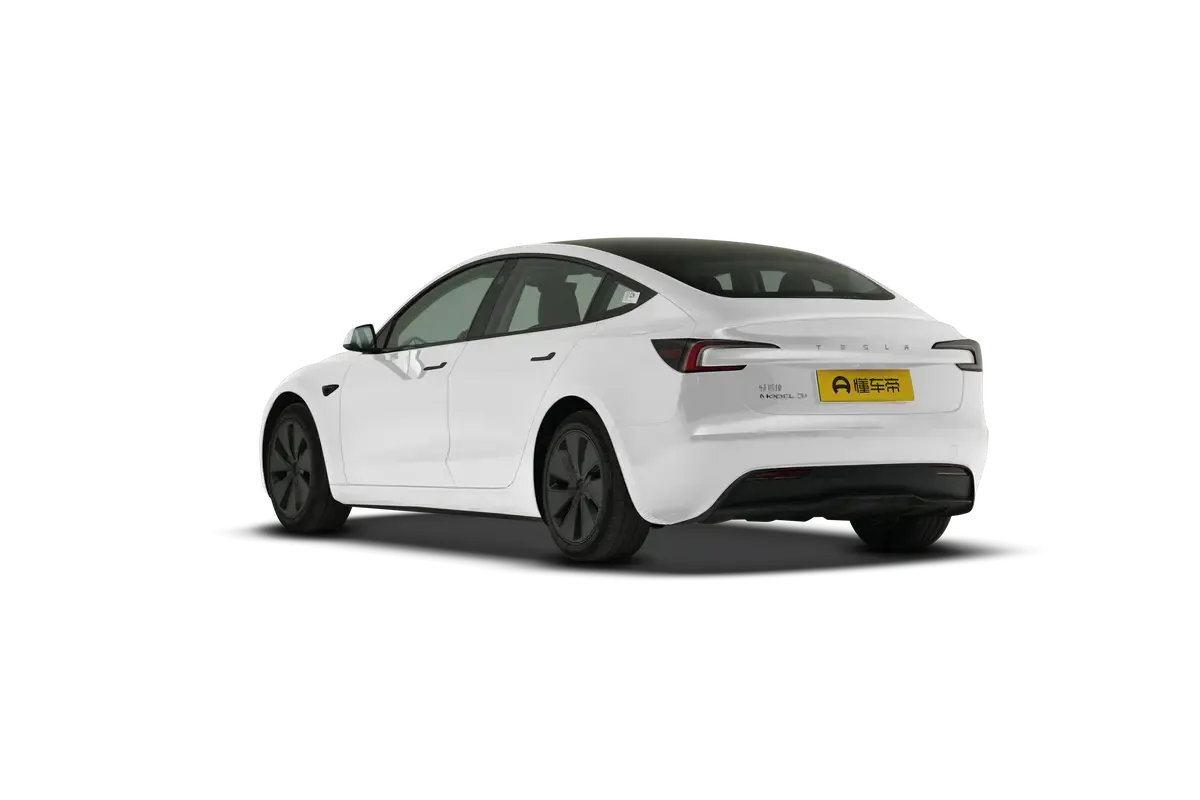 TESLA MODEL 3 4WD Long Range (белый)_360