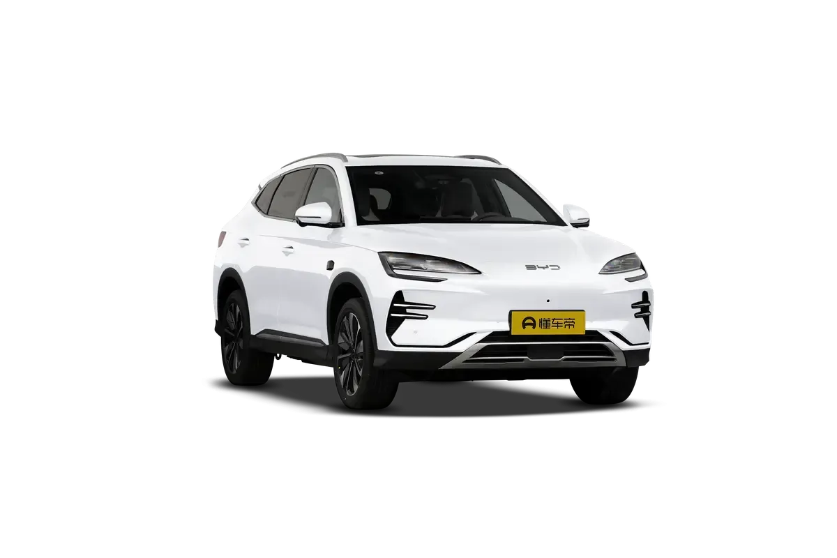 BYD SONG PLUS EV 2025 Intelligent Driving Edition 605KM Flagship Model (белый)_360
