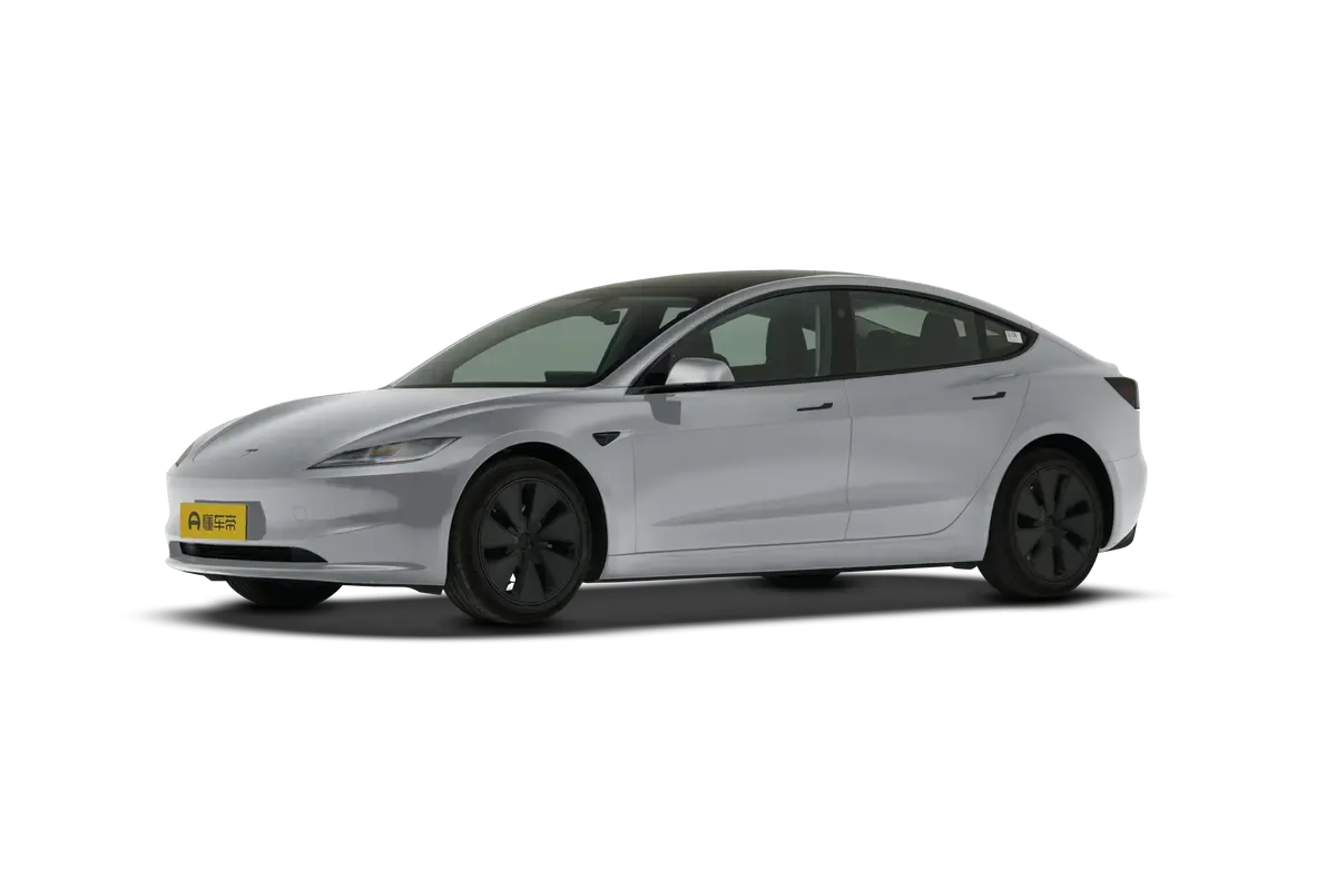 TESLA MODEL 3 4WD Performance (серебристый)_360