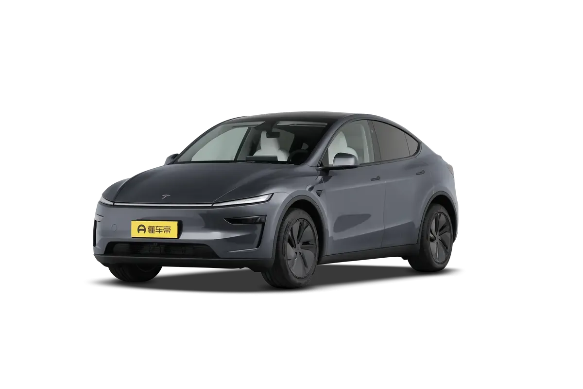 TESLA MODEL Y 2025 2WD (серый)_360
