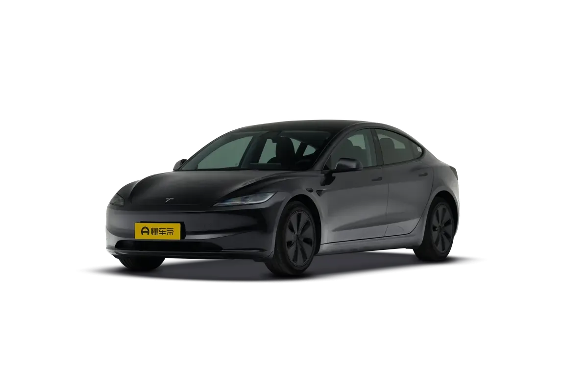 TESLA MODEL 3 4WD Long Range (черный)_360
