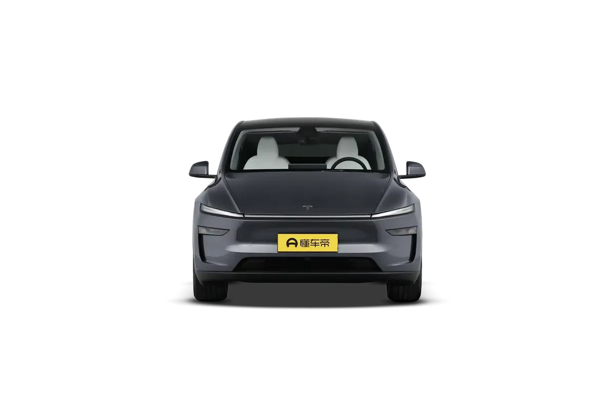 TESLA MODEL Y 2025 2WD (серый)_360