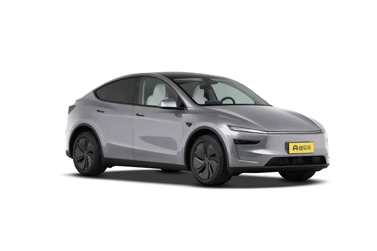 TESLA MODEL Y 2025 4WD Long Range (серебристый)_360