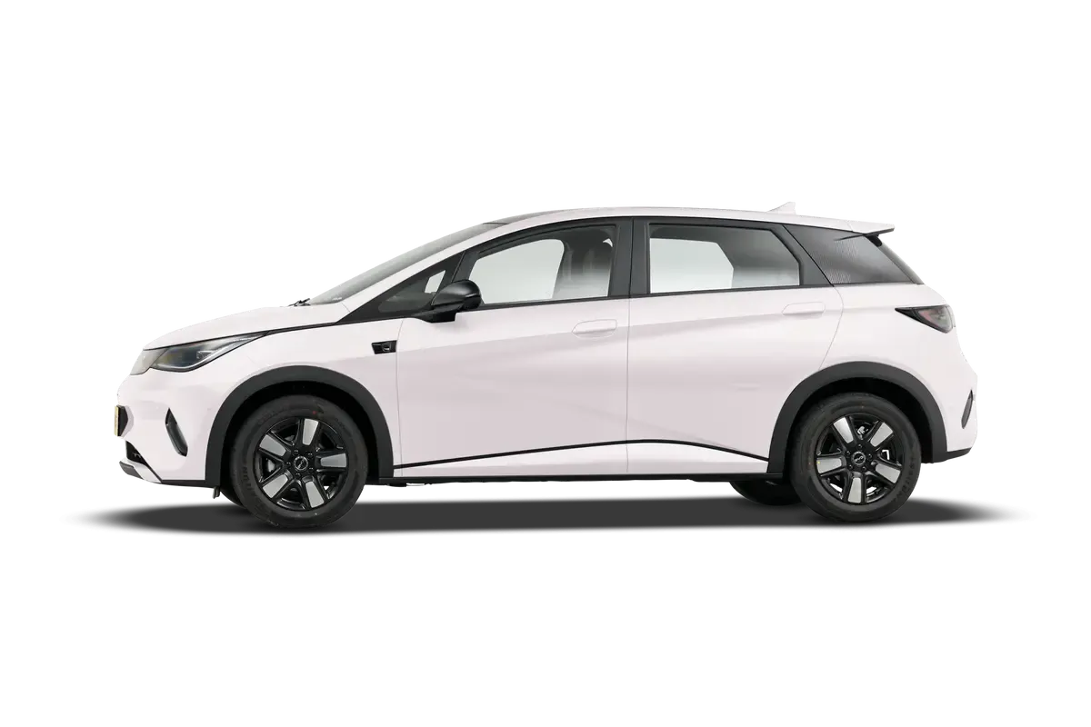 Электромобиль BYD Dolphin 2025 Smart Driving Edition 420KM Freedom Edition (белый)_360