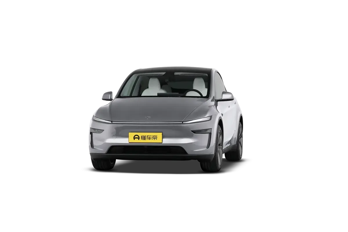 TESLA MODEL Y 2025 4WD Long Range (серебристый)_360