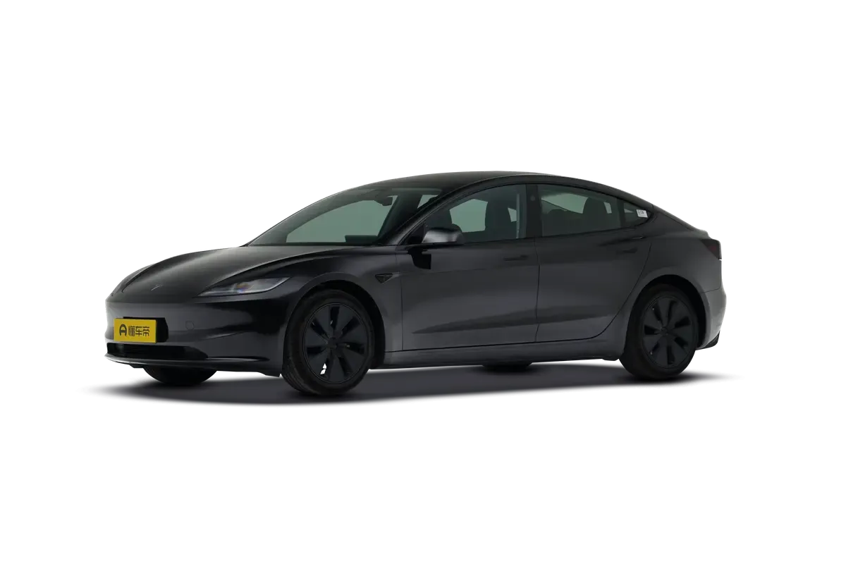 TESLA MODEL 3 4WD Long Range (черный)_360