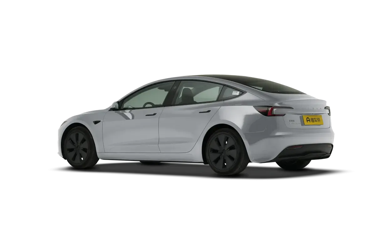 TESLA MODEL 3 4WD Performance (серебристый)_360