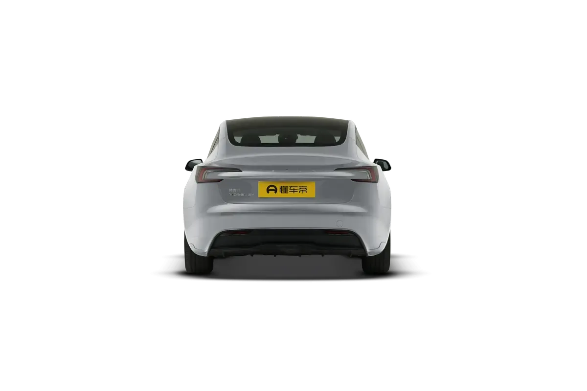 TESLA MODEL 3 4WD Performance (серебристый)_360