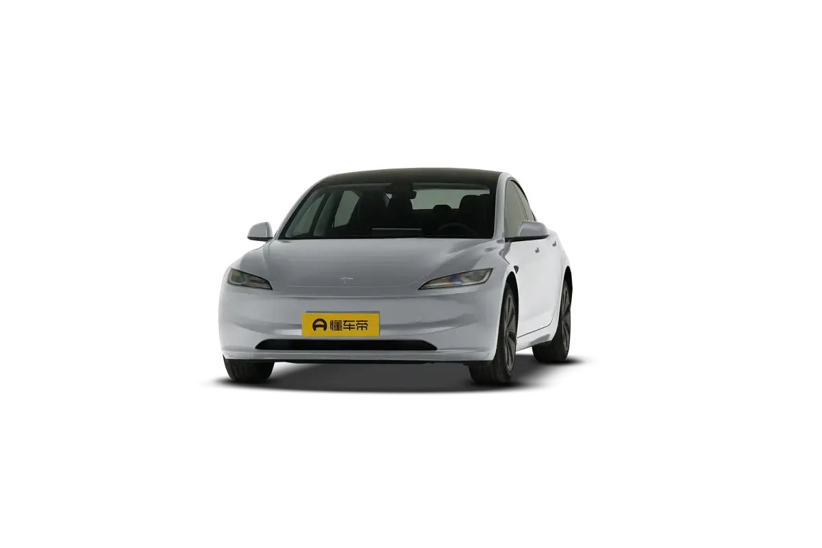 TESLA MODEL 3 4WD Performance (серебристый)_360