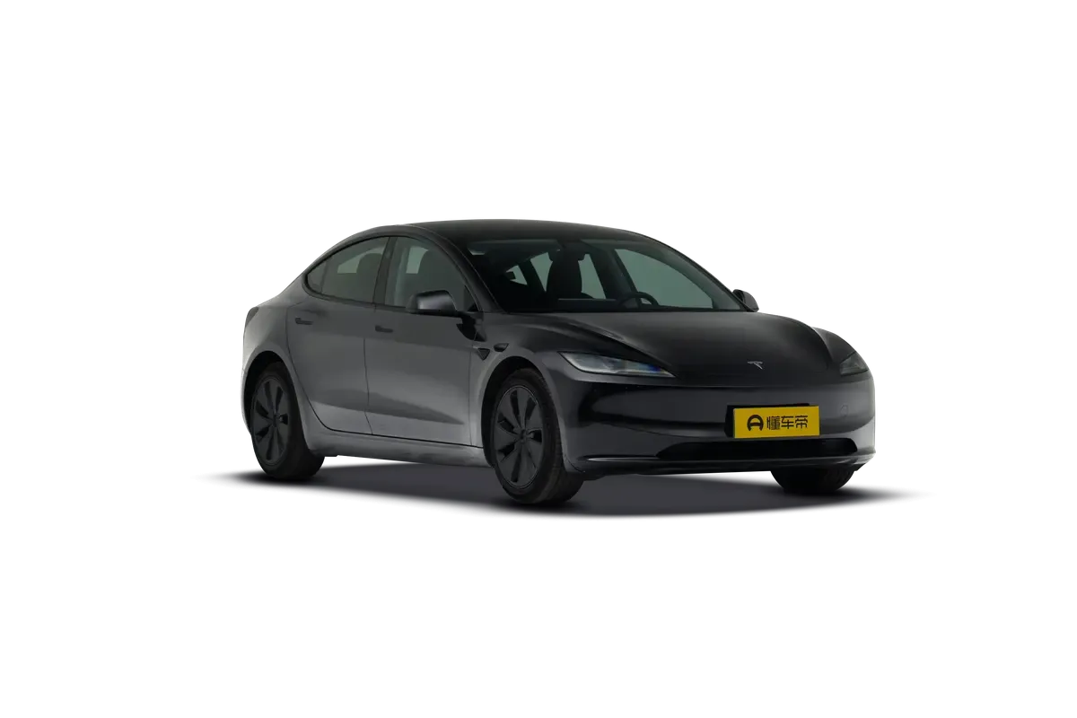 TESLA MODEL 3 4WD Long Range (черный)_360