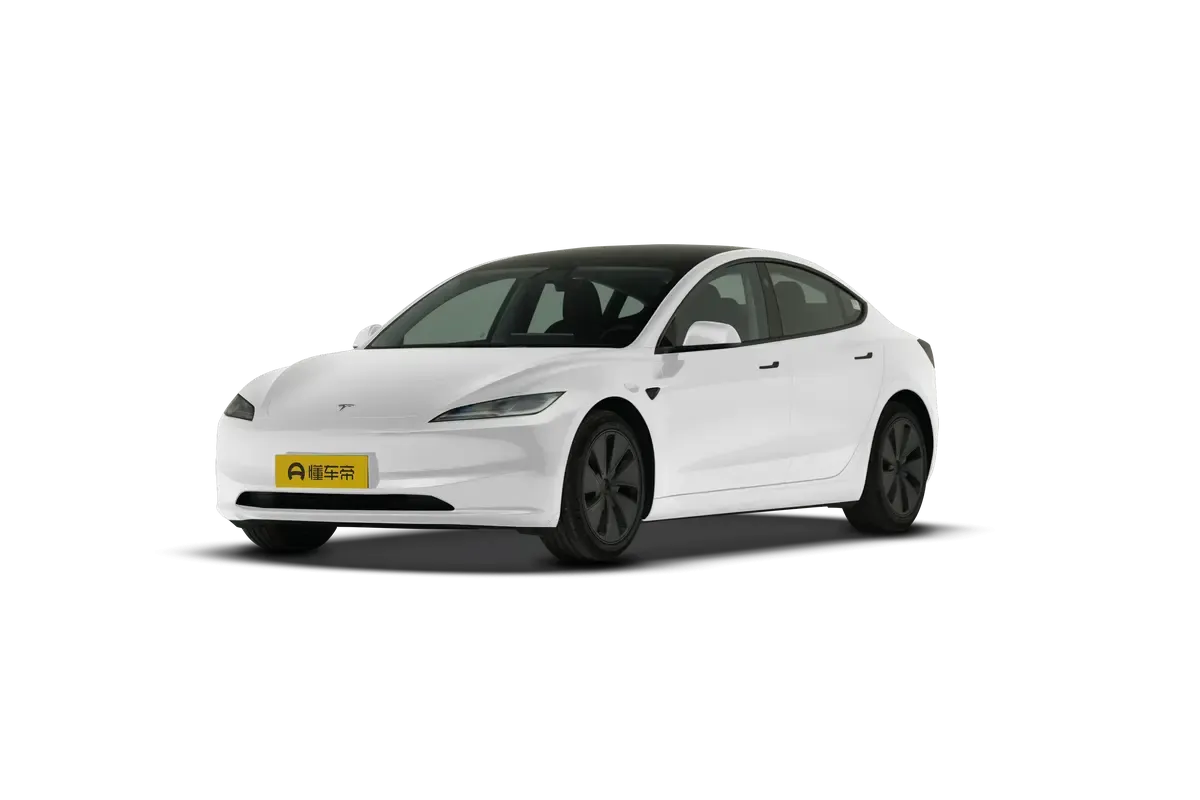 TESLA MODEL 3 4WD Long Range (белый)_360