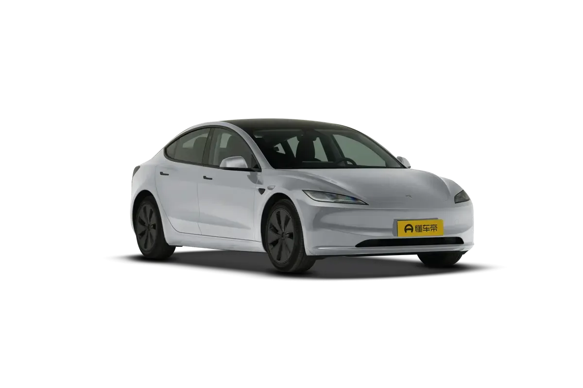 TESLA MODEL 3 4WD Performance (серебристый)_360