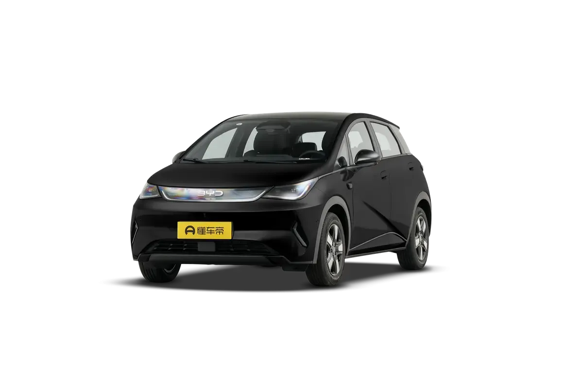 Электромобиль BYD Dolphin 2025 Smart Driving Edition 520KM Knight Edition (черный)_360