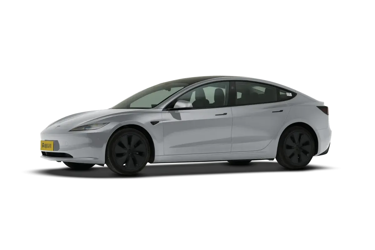 TESLA MODEL 3 4WD Performance (серебристый)_360