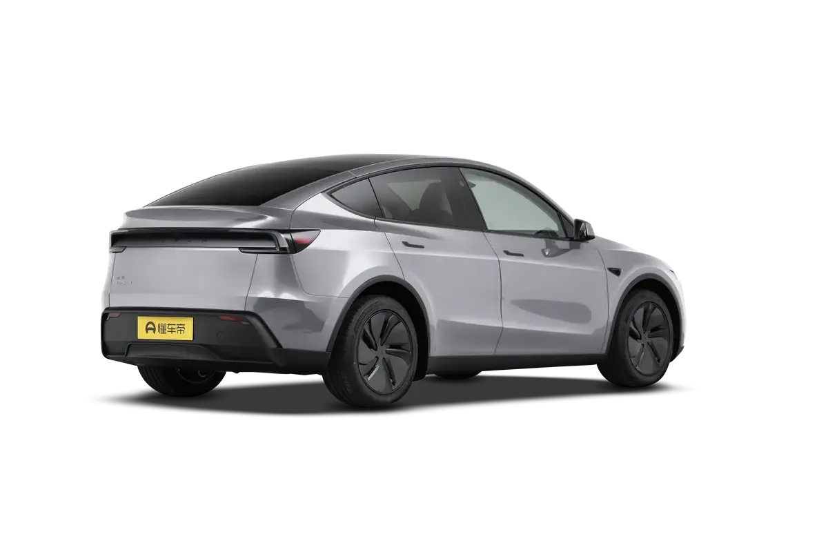 TESLA MODEL Y 2025 4WD Long Range (серебристый)_360