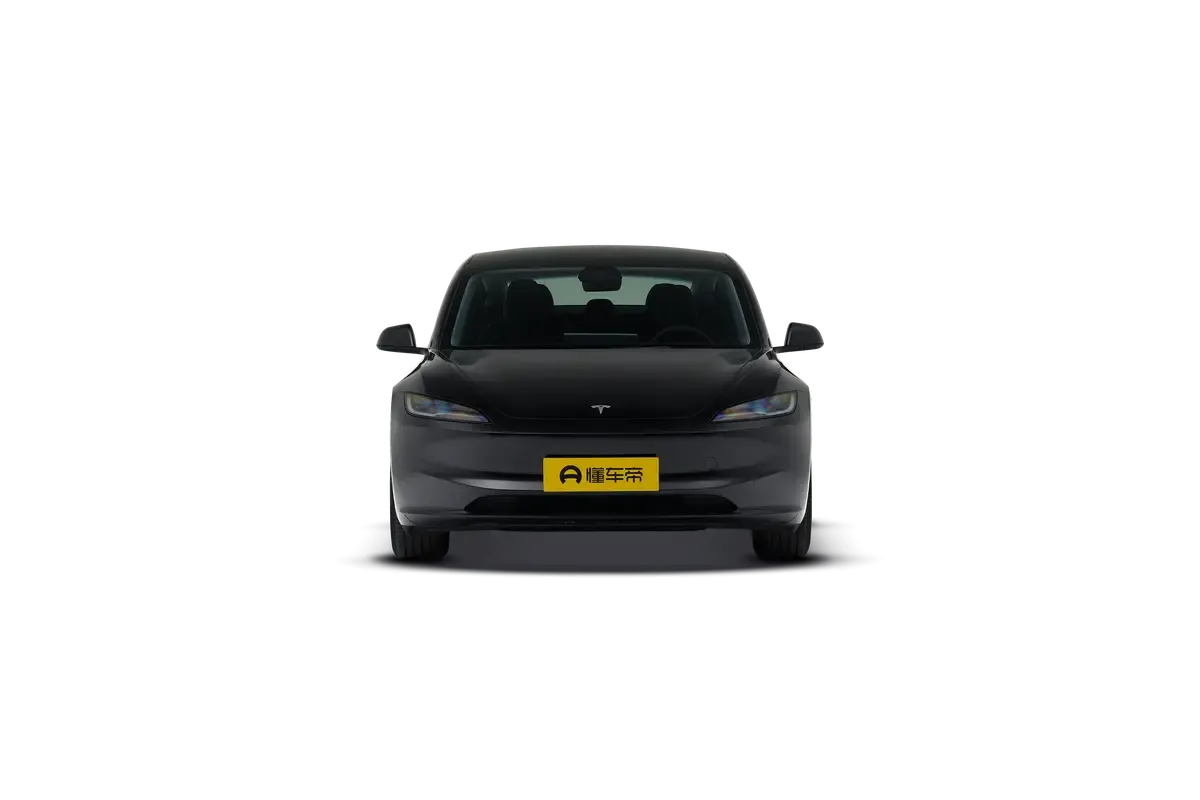 TESLA MODEL 3 4WD Long Range (черный)_360