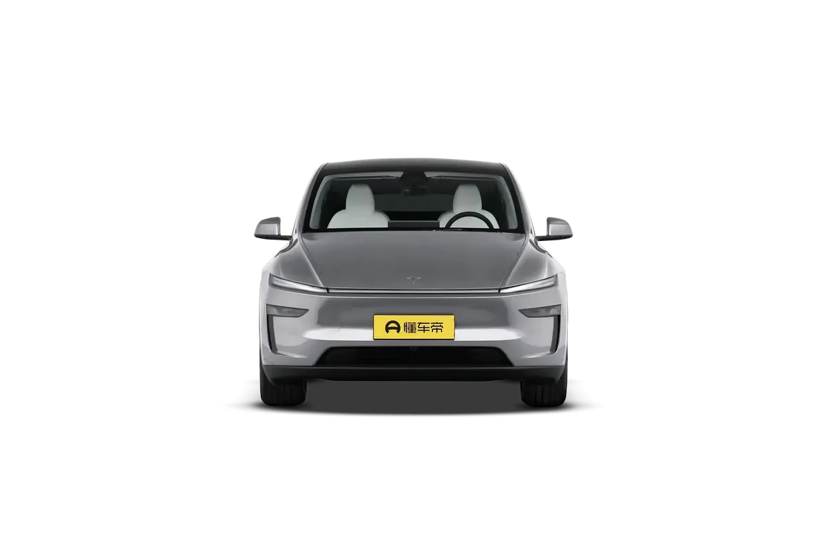 TESLA MODEL Y 2025 4WD Long Range (серебристый)_360