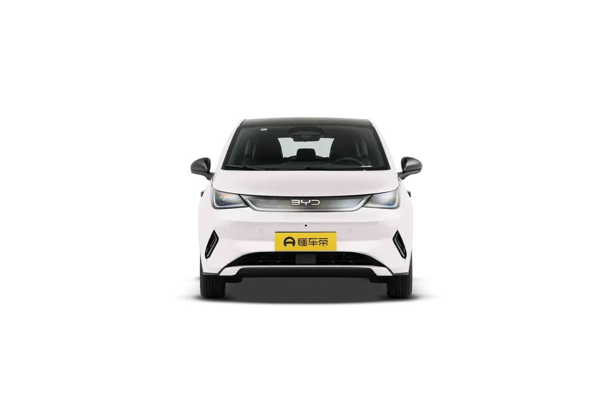 Электромобиль BYD Dolphin 2025 Smart Driving Edition 420KM Freedom Edition (белый)_360