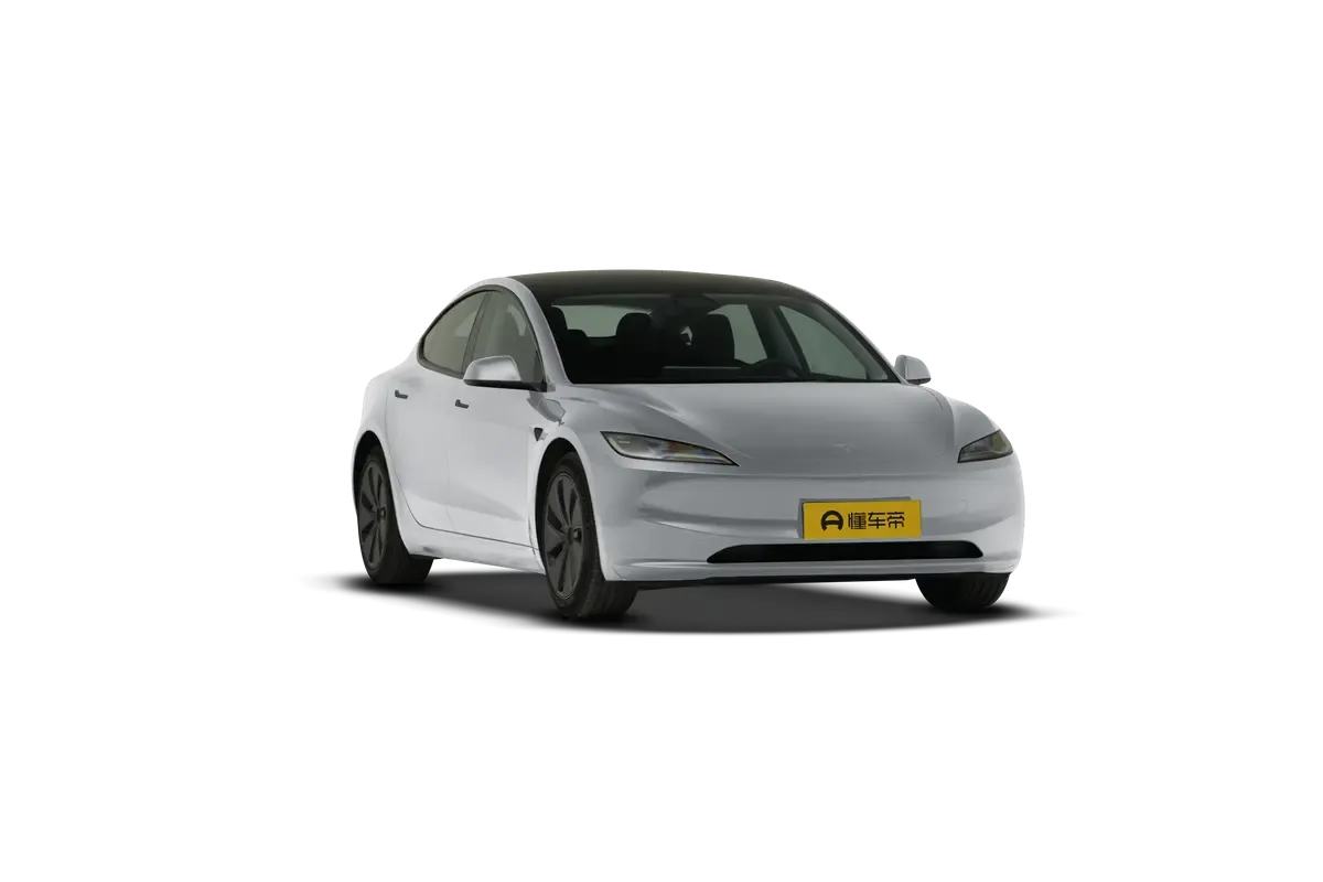 TESLA MODEL 3 4WD Performance (серебристый)_360