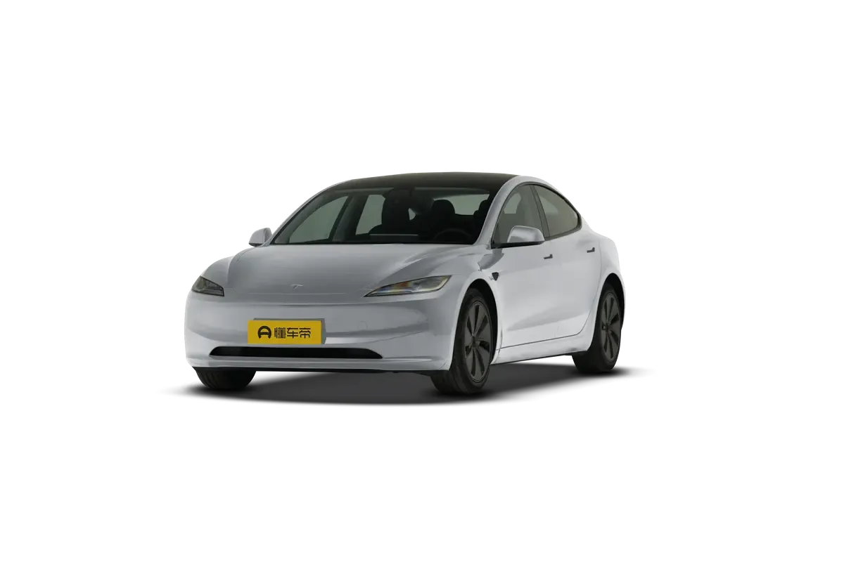 TESLA MODEL 3 4WD Performance (серебристый)_360