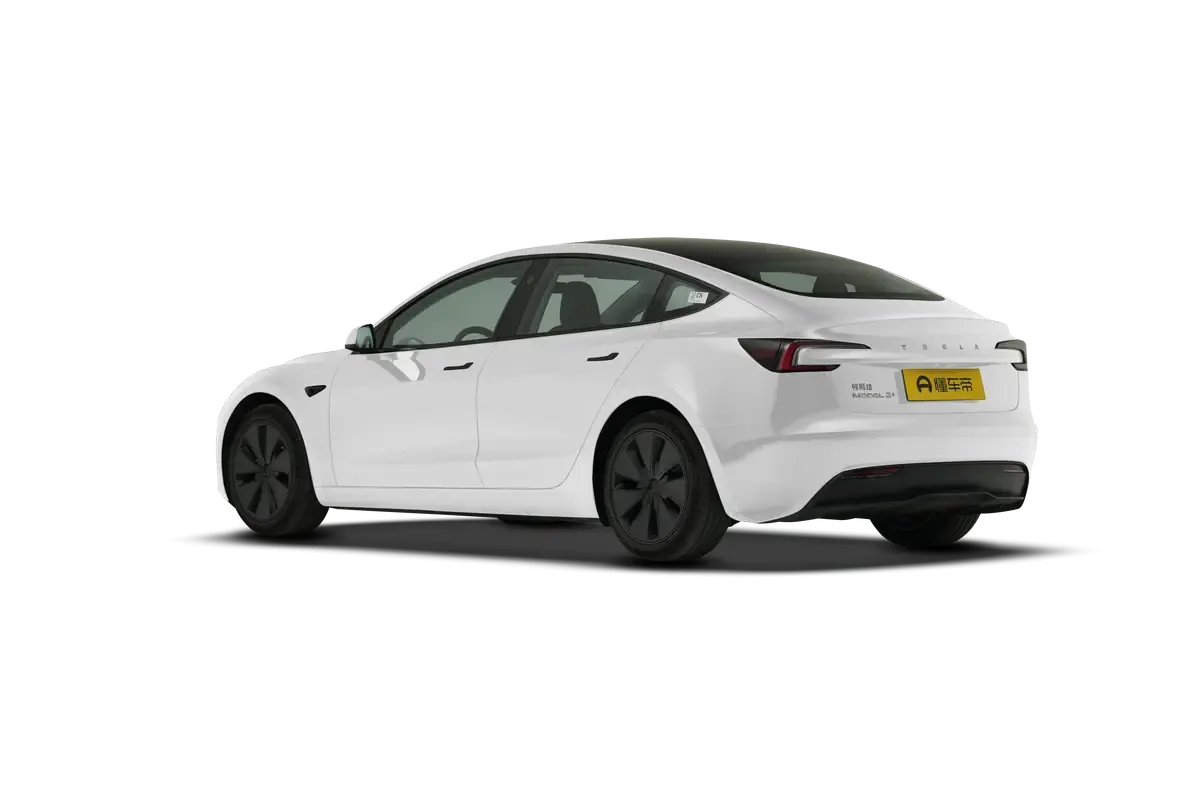 TESLA MODEL 3 4WD Long Range (белый)_360
