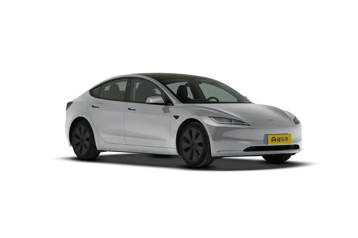 TESLA MODEL 3 4WD Performance (серебристый)_360