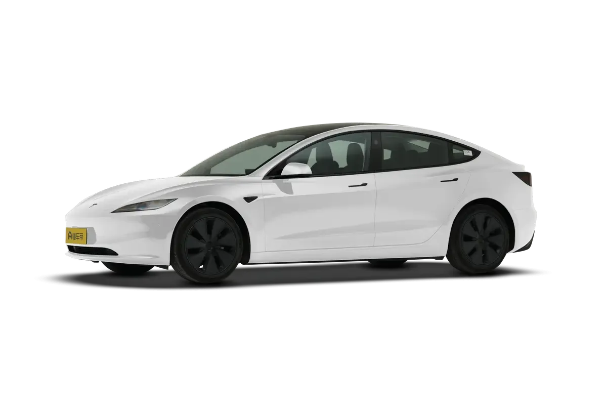 TESLA MODEL 3 4WD Long Range (белый)_360