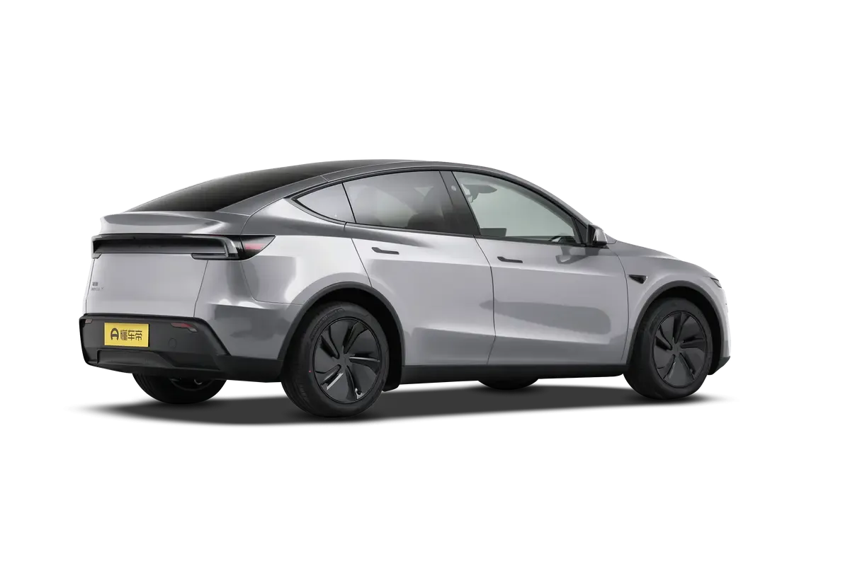 TESLA MODEL Y 2025 4WD Long Range (серебристый)_360