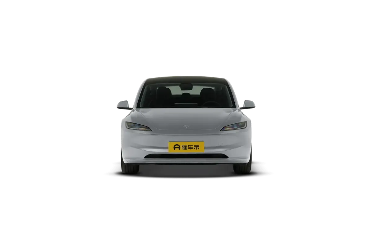 TESLA MODEL 3 4WD Performance (серебристый)_360