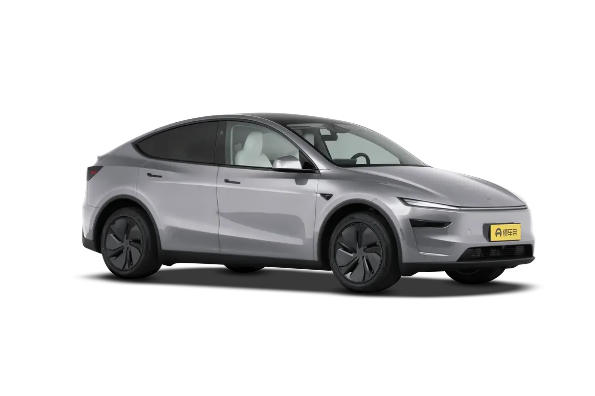 TESLA MODEL Y 2025 4WD Long Range (серебристый)_360