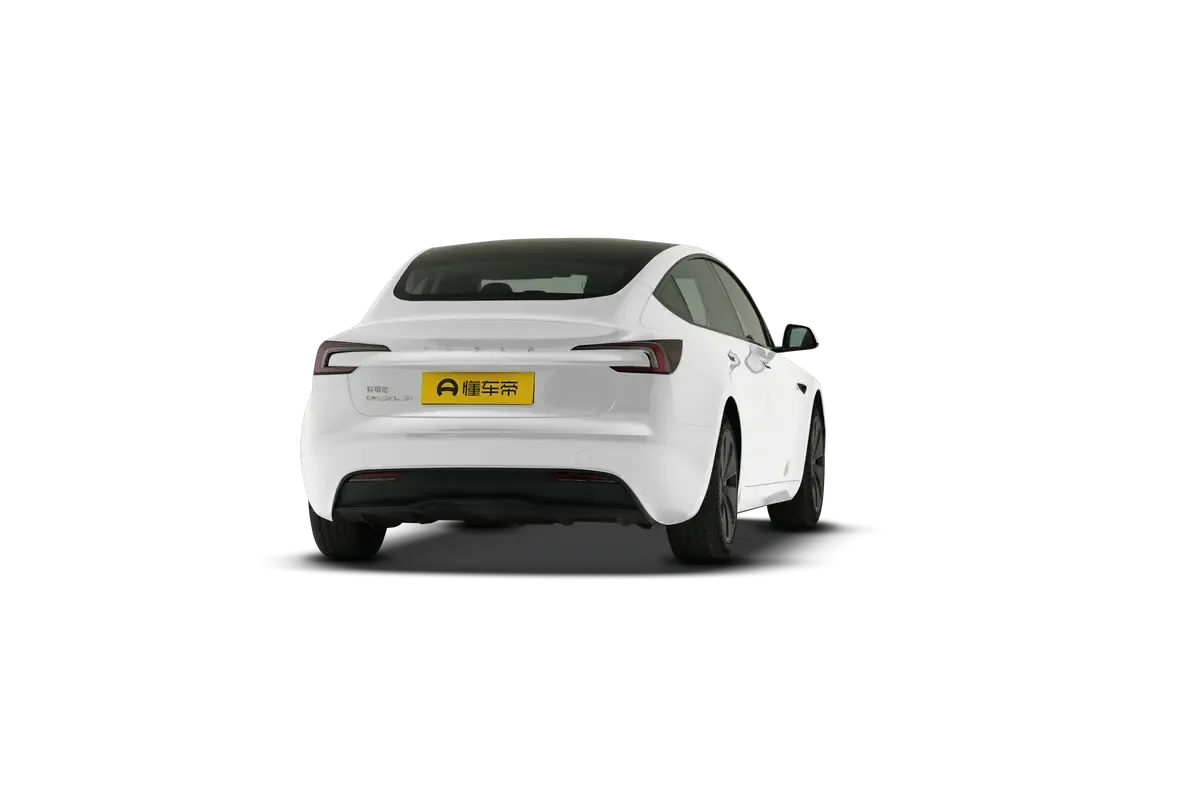 TESLA MODEL 3 4WD Long Range (белый)_360