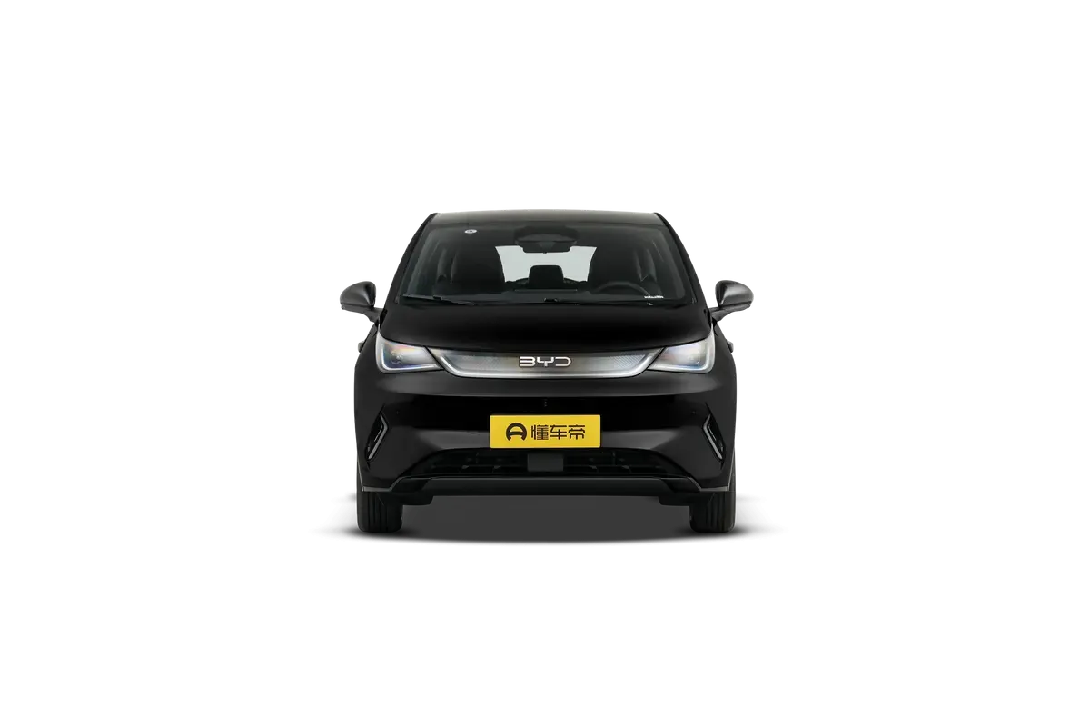 Электромобиль BYD Dolphin 2025 Smart Driving Edition 520KM Knight Edition (черный)_360