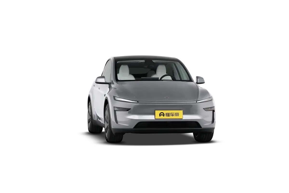 TESLA MODEL Y 2025 4WD Long Range (серебристый)_360