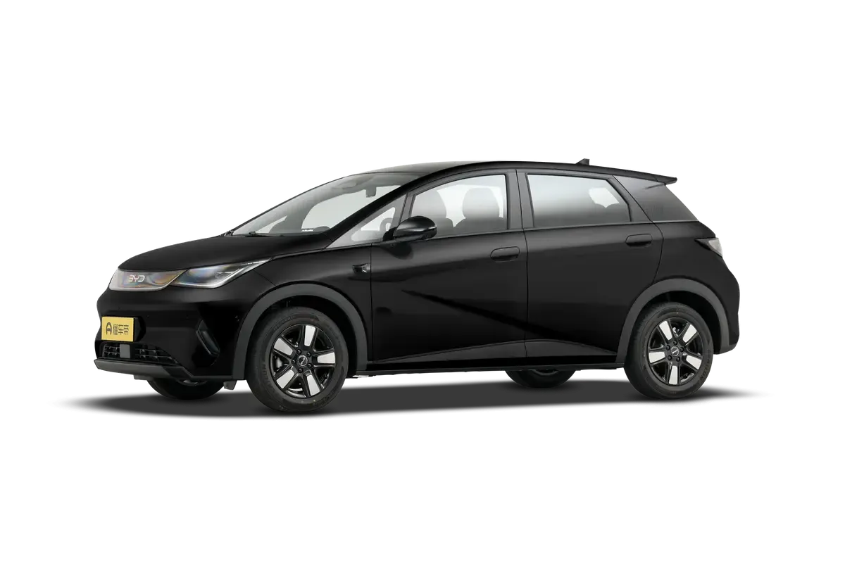 Электромобиль BYD Dolphin 2025 Smart Driving Edition 520KM Knight Edition (черный)_360