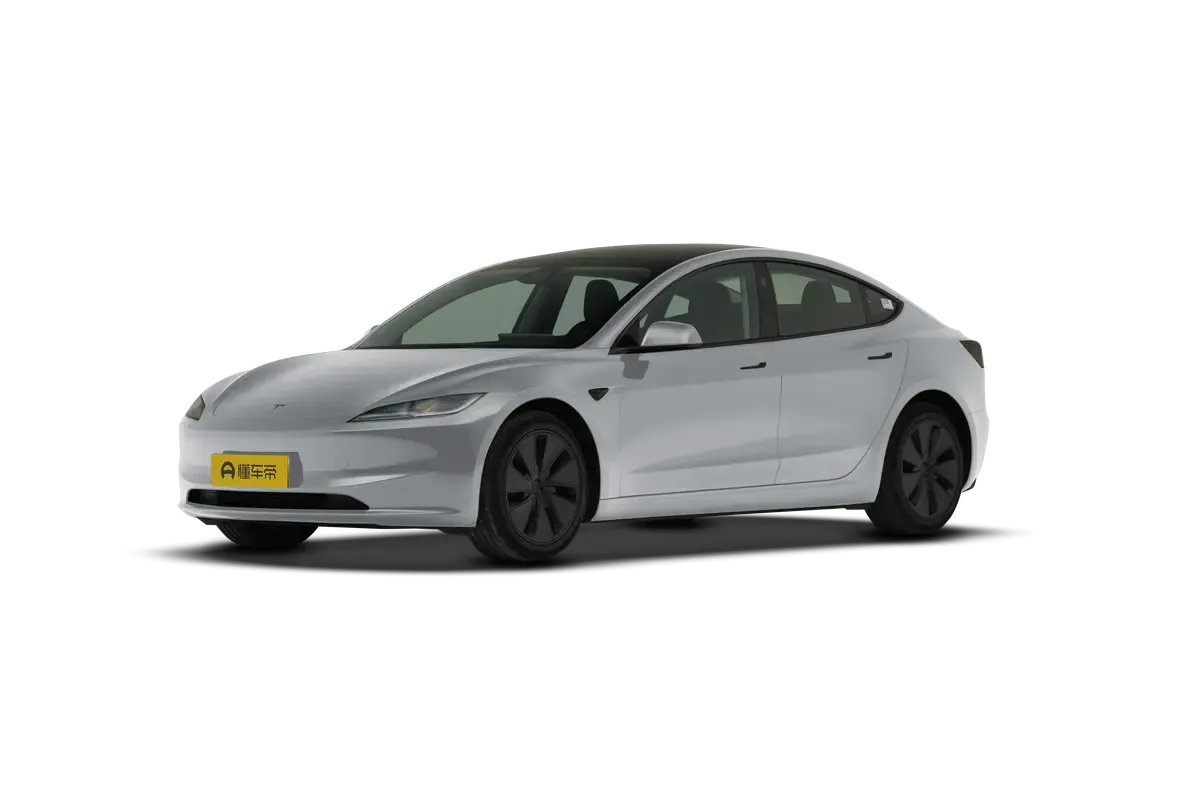 TESLA MODEL 3 4WD Performance (серебристый)_360