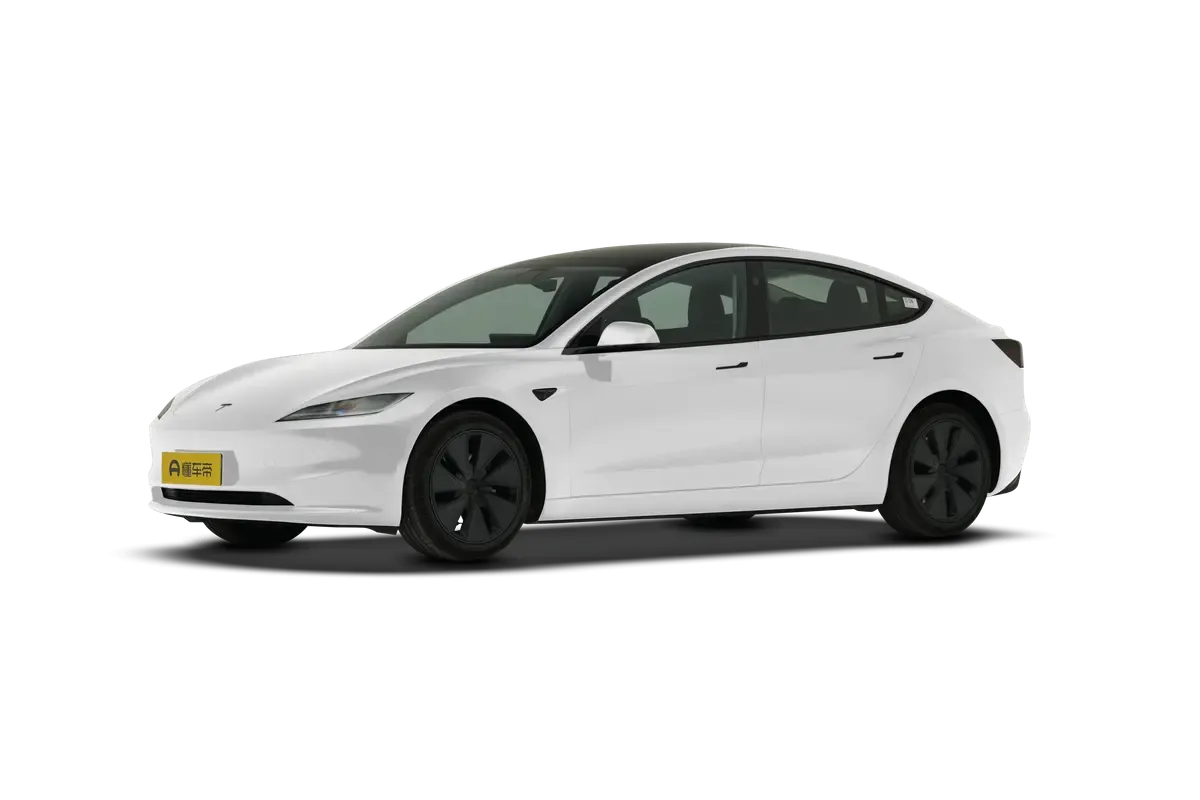 TESLA MODEL 3 4WD Long Range (белый)_360