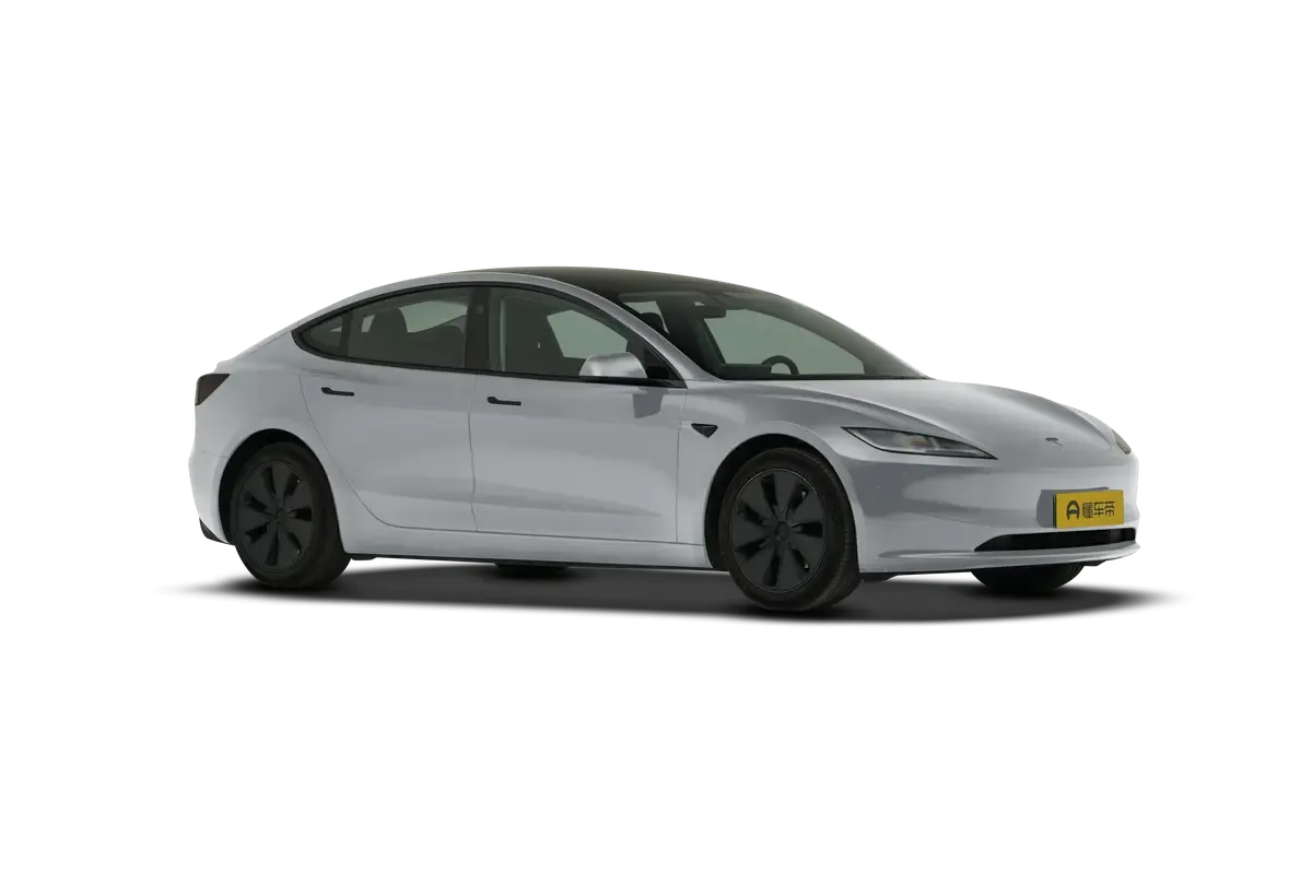 TESLA MODEL 3 4WD Performance (серебристый)_360