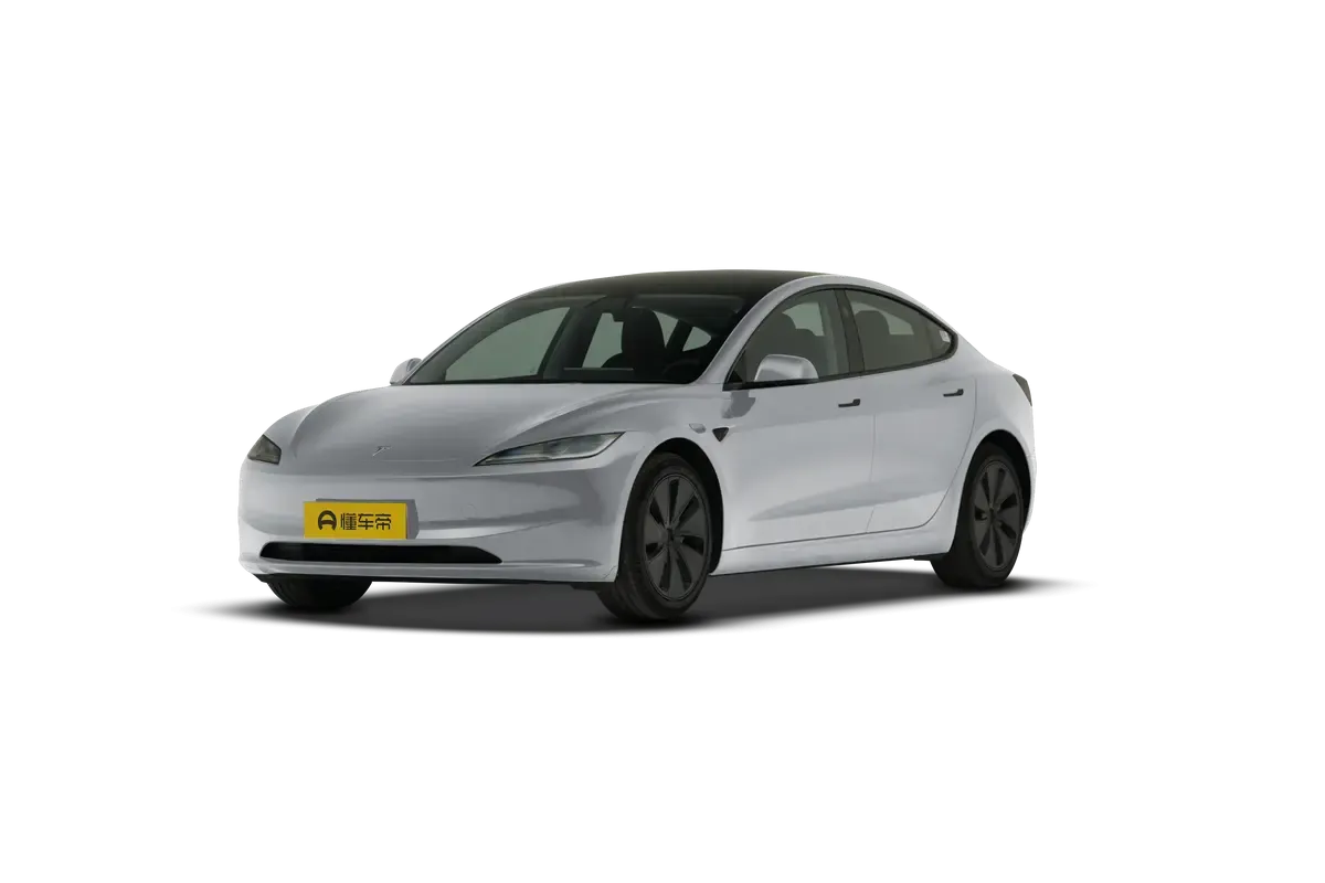 TESLA MODEL 3 4WD Performance (серебристый)_360