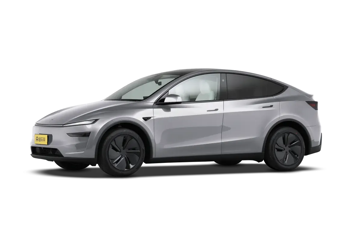 TESLA MODEL Y 2025 4WD Long Range (серебристый)_360